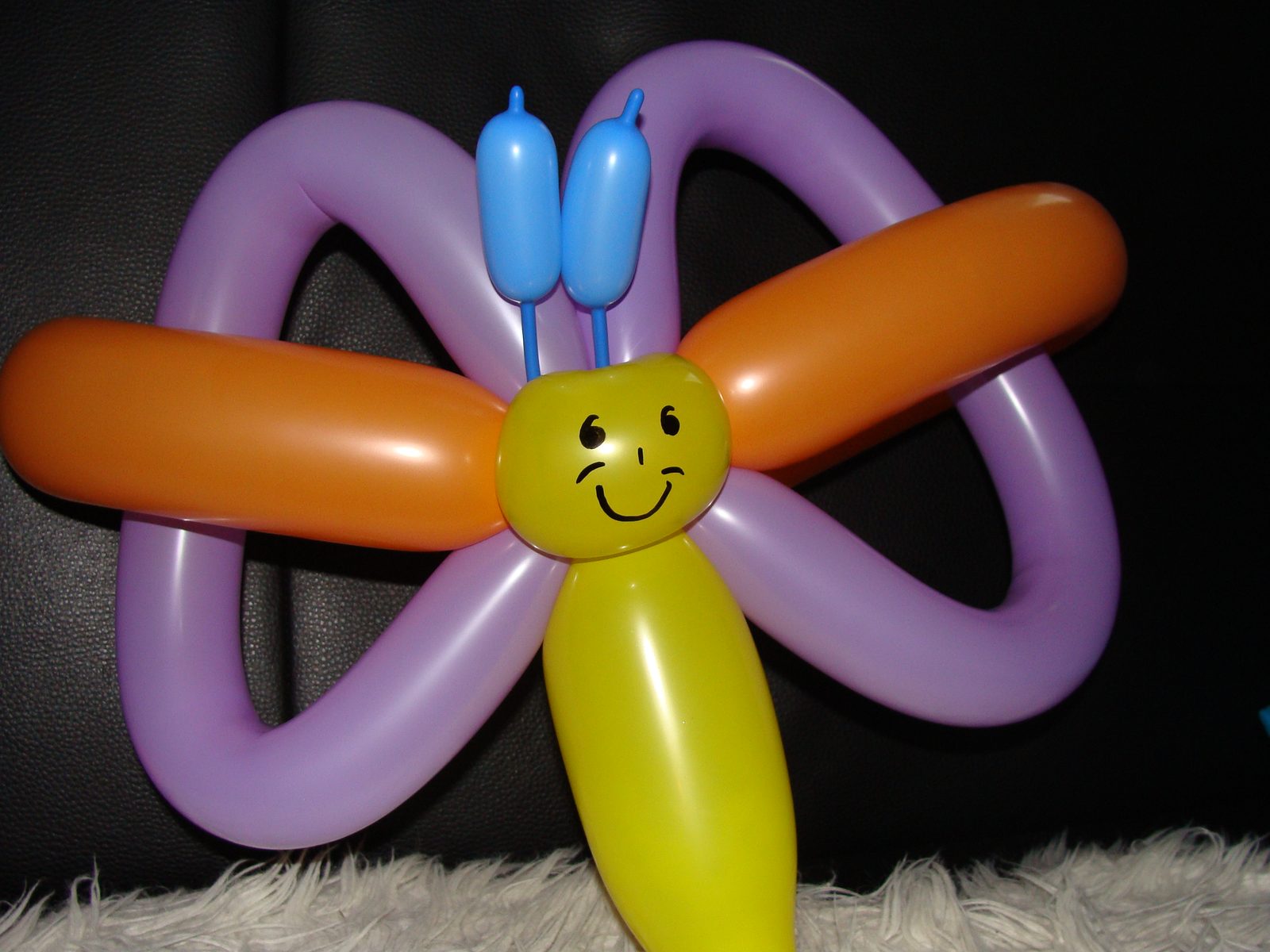 Großer Ballonschmetterling mit filigranen Flügeln